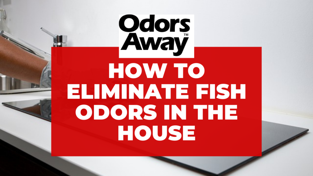 Eliminate Fish Odors in House